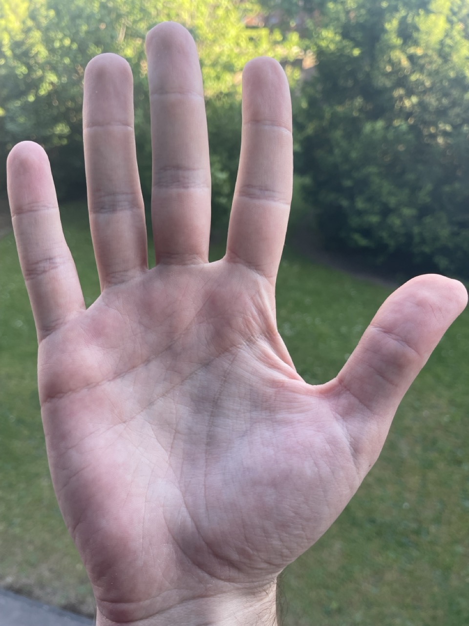 Die rechte Hand von Alexander Fufaev