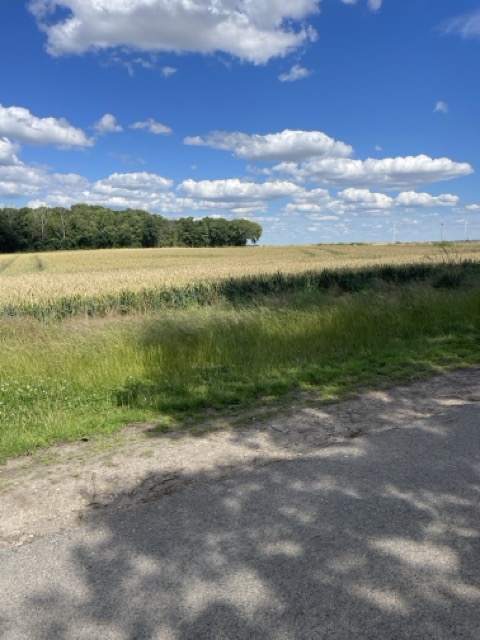 Feldweg von Asel nach Borsum