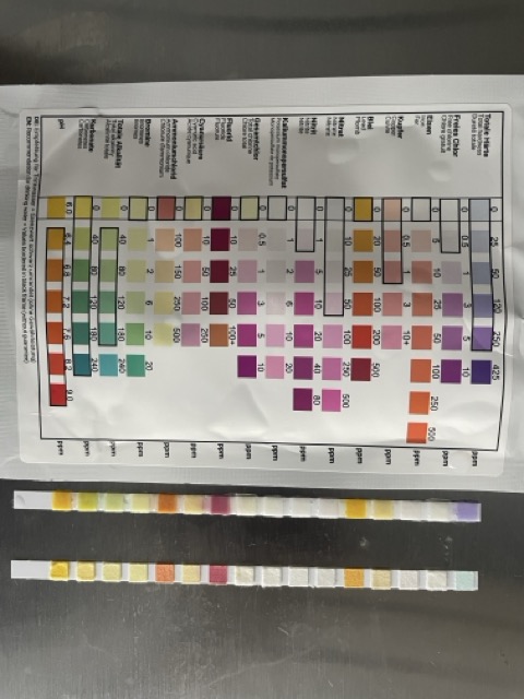 Wasser-Qualität mit Teststreifen testen