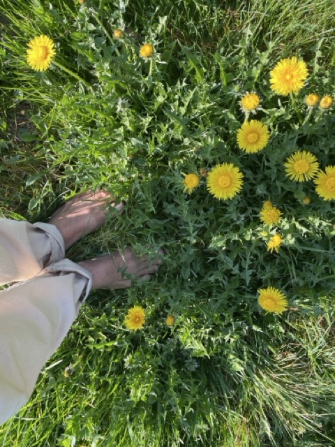 Barfuß im Gras