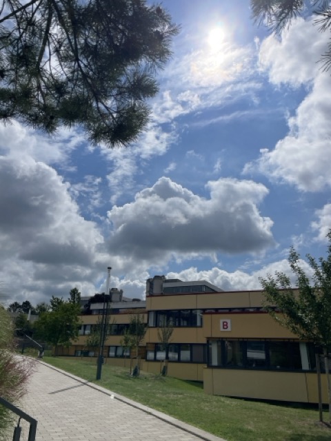 beim beten in den Himmel blicken