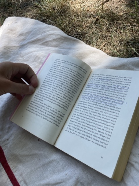 Buch am See lesen