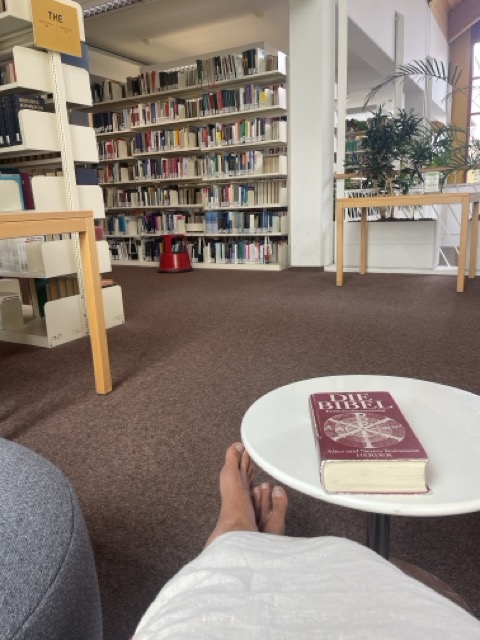 Buch Mormon lesen