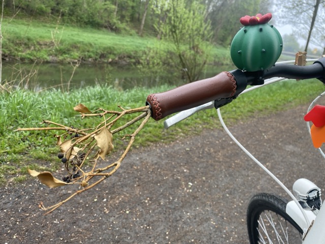 Fahrrad mit Ästen dekorieren
