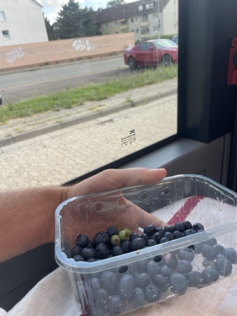 frühstücken im Bus