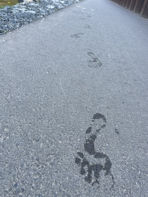 Fußspuren