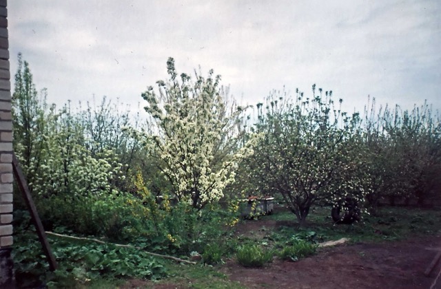 Garten der Großeltern hinter dem Haus, Russland