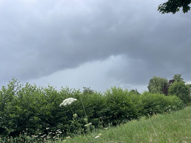 Gottvater ist gnädig