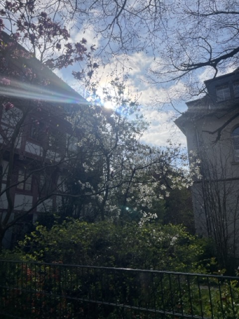 Gutes Wetter in Hildesheim