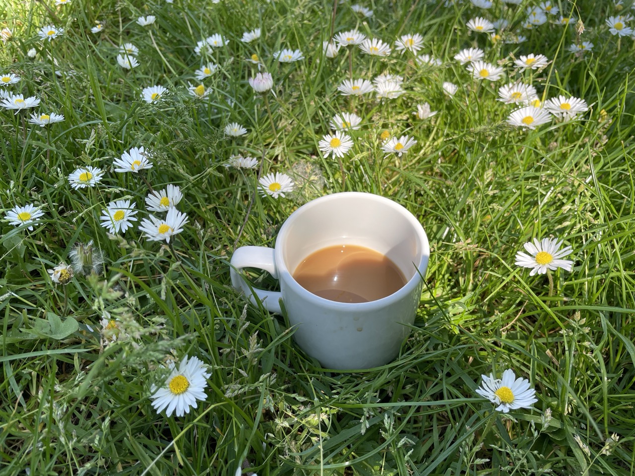 Kaffee aus der HanoMacke am Conti Campus trinken