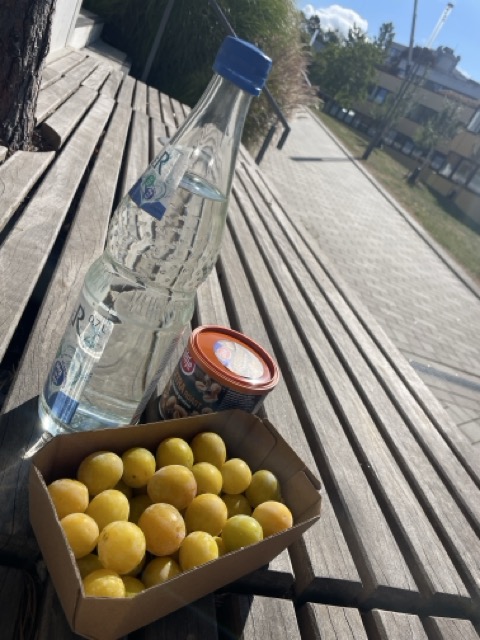 Mirabellen essen