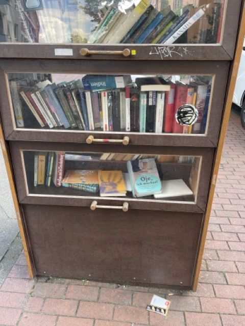 Öffentlicher Bücherschrank am E-Damm in Hannover