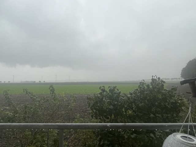 Regnerisches Wetter im Oktober