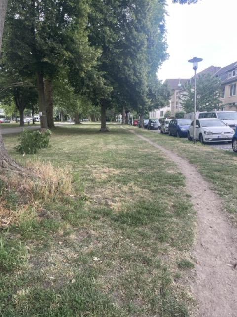 Sedanallee Hildesheim