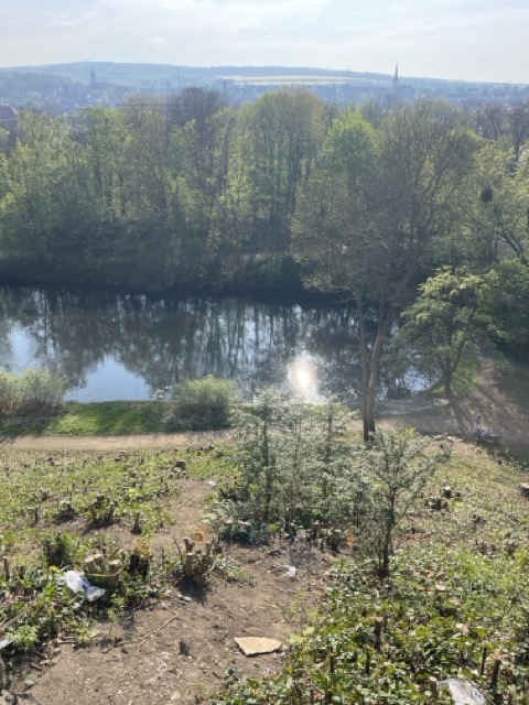 Seniorenhraben ausblick hildesheim