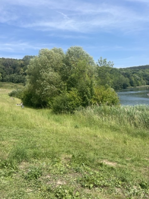 sommer baden