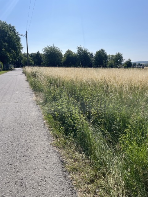 Unterwegs mit Gott