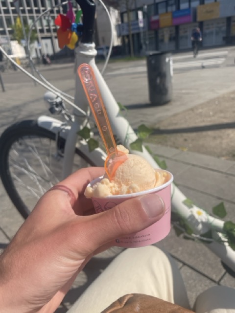 Veganes Eis essen in Hildesheim