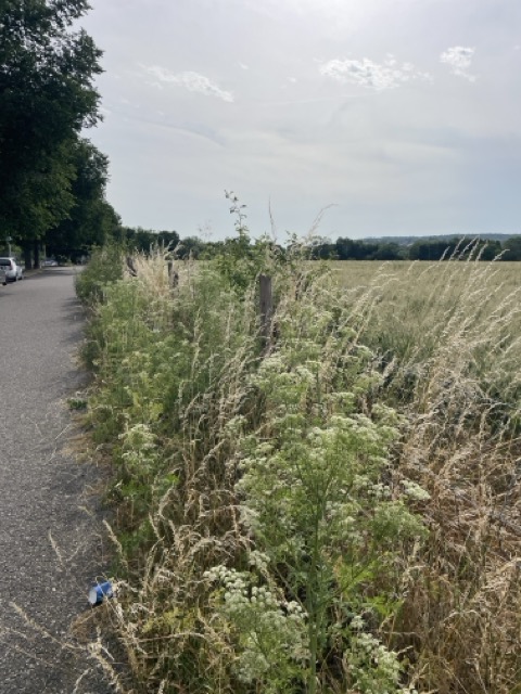Wandern ohne gepäck