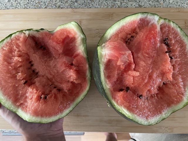 Wassermelone mit Händen aufbrechen